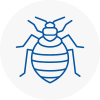 Bed Bug Extermination In London City