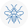 London City Hornet Nest Removals