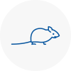 Mice Exterminators In London City