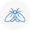 Moth Control Specialists In London City