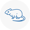Rat Control London City
