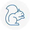 London City Rodent Removals