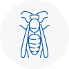 London City Wasp Nest Removal